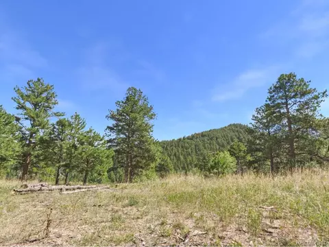 N Turkey Creek Rd, Morrison, CO 80465 photo 4