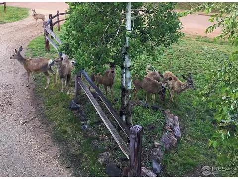 191 Wichita Rd, Lyons, CO 80540 photo 4