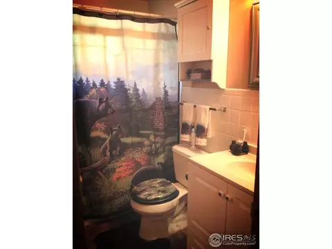 191 Wichita Rd, Lyons, CO 80540 photo 17