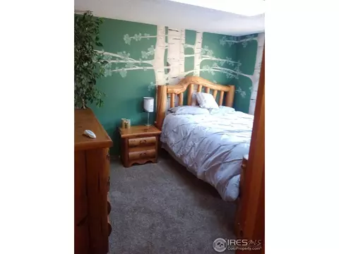 191 Wichita Rd, Lyons, CO 80540 photo 13