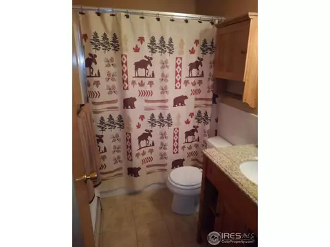 191 Wichita Rd, Lyons, CO 80540 photo 15