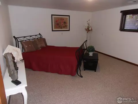 224 10th St, Windsor, CO 80550 photo 10