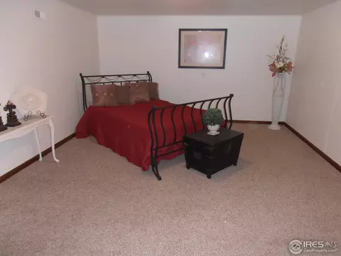 224 10th St, Windsor, CO 80550 photo 9