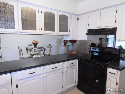 224 10th St, Windsor, CO 80550 photo 6