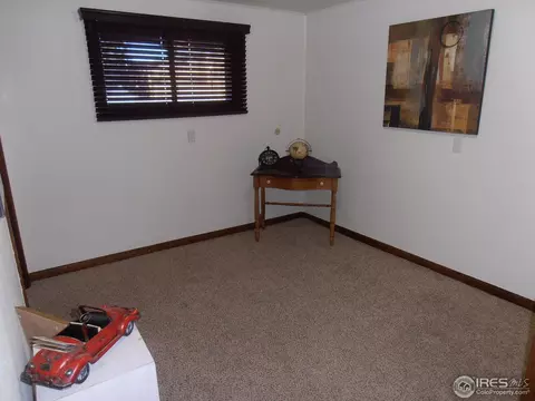 224 10th St, Windsor, CO 80550 photo 12