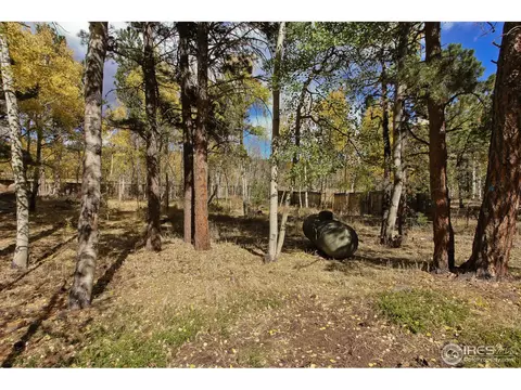 122 Ridge Rd, Ward, CO 80481 photo 33