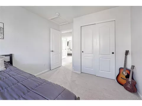 2364 Broadleaf Loop, Castle Rock, CO 80109 photo 26