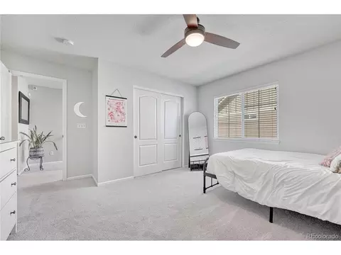 2364 Broadleaf Loop, Castle Rock, CO 80109 photo 23
