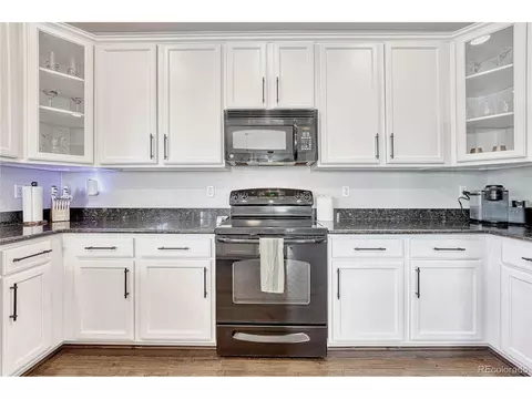 2364 Broadleaf Loop, Castle Rock, CO 80109 photo 18
