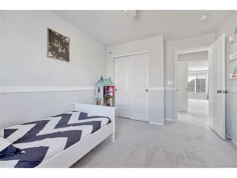 2364 Broadleaf Loop, Castle Rock, CO 80109 photo 28