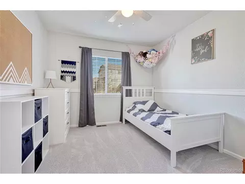 2364 Broadleaf Loop, Castle Rock, CO 80109 photo 27