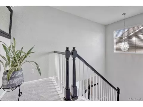 2364 Broadleaf Loop, Castle Rock, CO 80109 photo 21