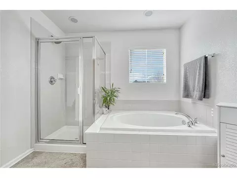 2364 Broadleaf Loop, Castle Rock, CO 80109 photo 35