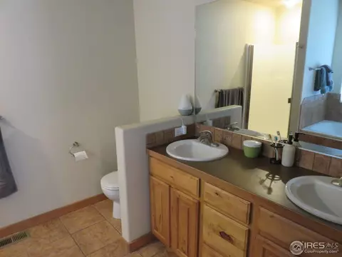 432 Wind River Dr, Windsor, CO 80550 photo 12