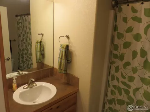 432 Wind River Dr, Windsor, CO 80550 photo 29