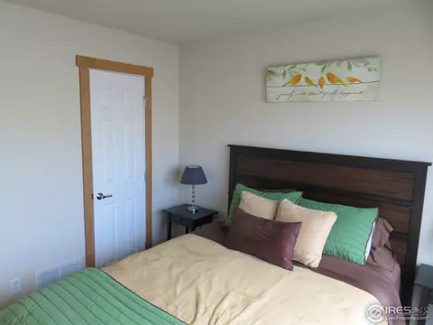 432 Wind River Dr, Windsor, CO 80550 photo 18