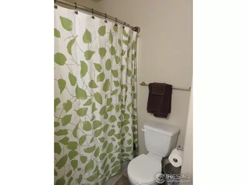 432 Wind River Dr, Windsor, CO 80550 photo 30