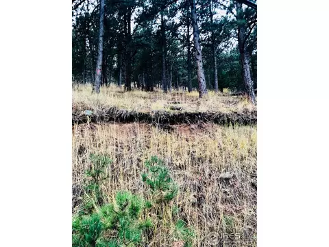 1197 Timber Ln, Boulder, CO 80304 photo 7