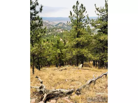 1197 Timber Ln, Boulder, CO 80304 photo 4