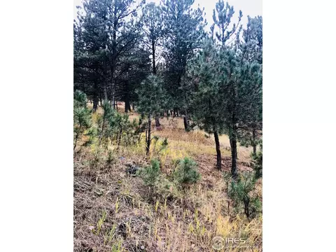 1197 Timber Ln, Boulder, CO 80304 photo 6