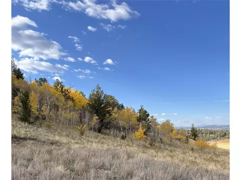 8494 Chickasaw Rd, Hartsel, CO 80449