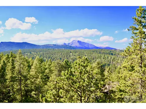 100 Cody Trl, Ward, CO 80481 photo 15