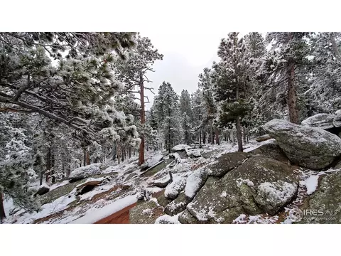100 Cody Trl, Ward, CO 80481 photo 33