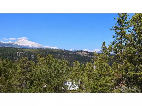 100 Cody Trl, Ward, CO 80481 photo 16