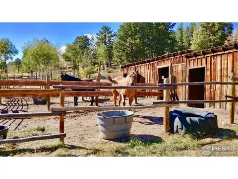 100 Cody Trl, Ward, CO 80481 photo 30
