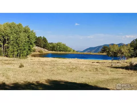 100 Cody Trl, Ward, CO 80481 photo 27
