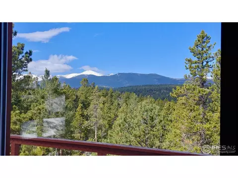 100 Cody Trl, Ward, CO 80481 photo 3