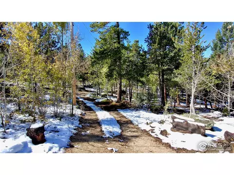 100 Cody Trl, Ward, CO 80481 photo 34