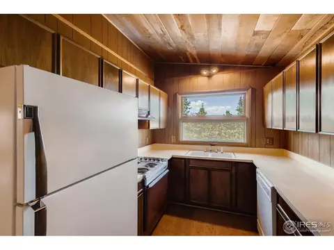 100 Cody Trl, Ward, CO 80481 photo 9