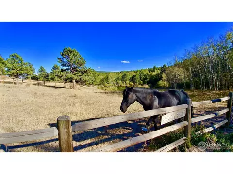 100 Cody Trl, Ward, CO 80481 photo 31