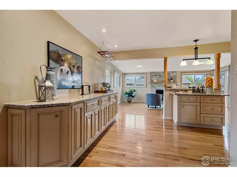 6074 Iris Way, Arvada, CO 80004 photo 9