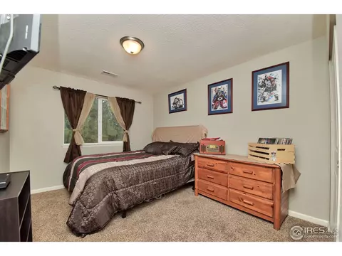 3157 E 112th Pl, Thornton, CO 80233 photo 13