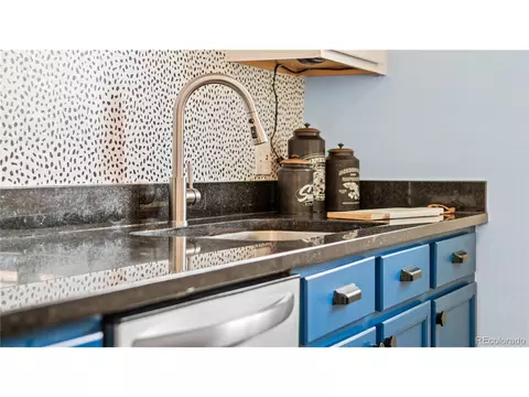 975 Harrison St, Denver, CO 80206 photo 14