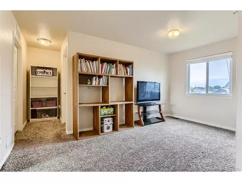 9012 Sandpiper Dr, Frederick, CO 80504 photo 19