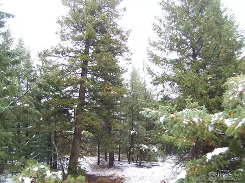 823 Lakeshore Dr, Boulder, CO 80302 photo 5