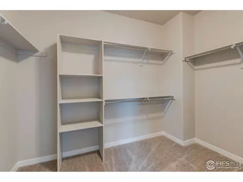 951 Tail Water Dr, Windsor, CO 80550 photo 29