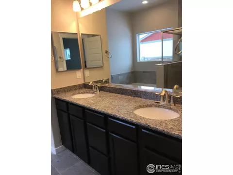 951 Tail Water Dr, Windsor, CO 80550 photo 21
