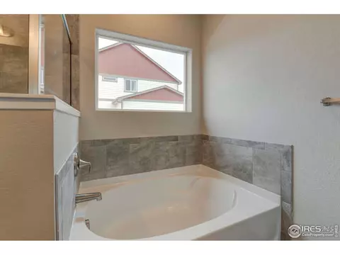 951 Tail Water Dr, Windsor, CO 80550 photo 24