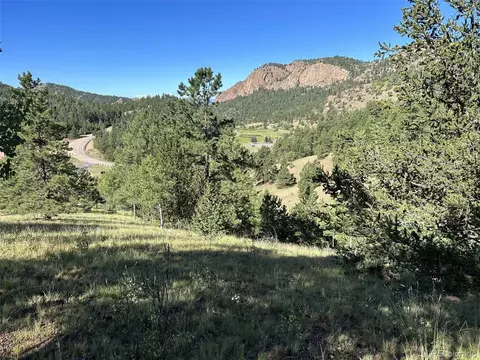 419 Midday Cir, Cripple Creek, CO 80813