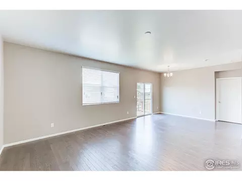 506 Buckrake St, Severance, CO 80550 photo 5