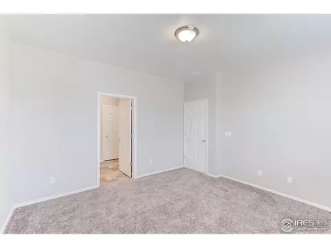 506 Buckrake St, Severance, CO 80550 photo 19