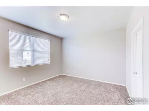 506 Buckrake St, Severance, CO 80550 photo 22