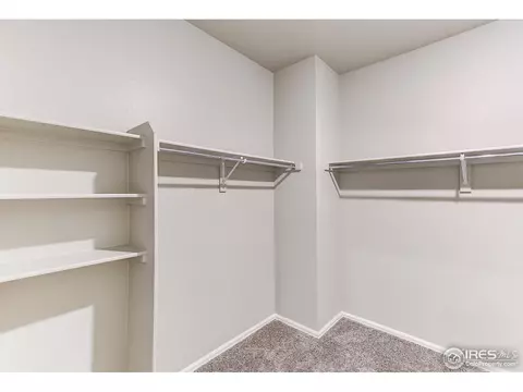506 Buckrake St, Severance, CO 80550 photo 18