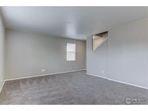 419 Harrow St, Severance, CO 80550 photo 9