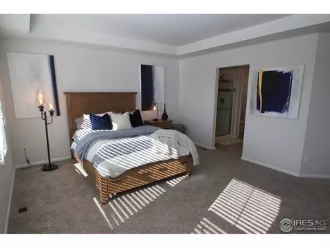 3422 Silverado Cir, Frederick, CO 80516 photo 23