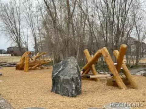 19167 E 54th Pl, Denver, CO 80249 photo 33